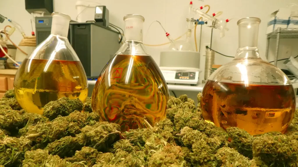 Growth in Codes and Standards is Essential to Safety within Cannabis Oil Extraction Facilities